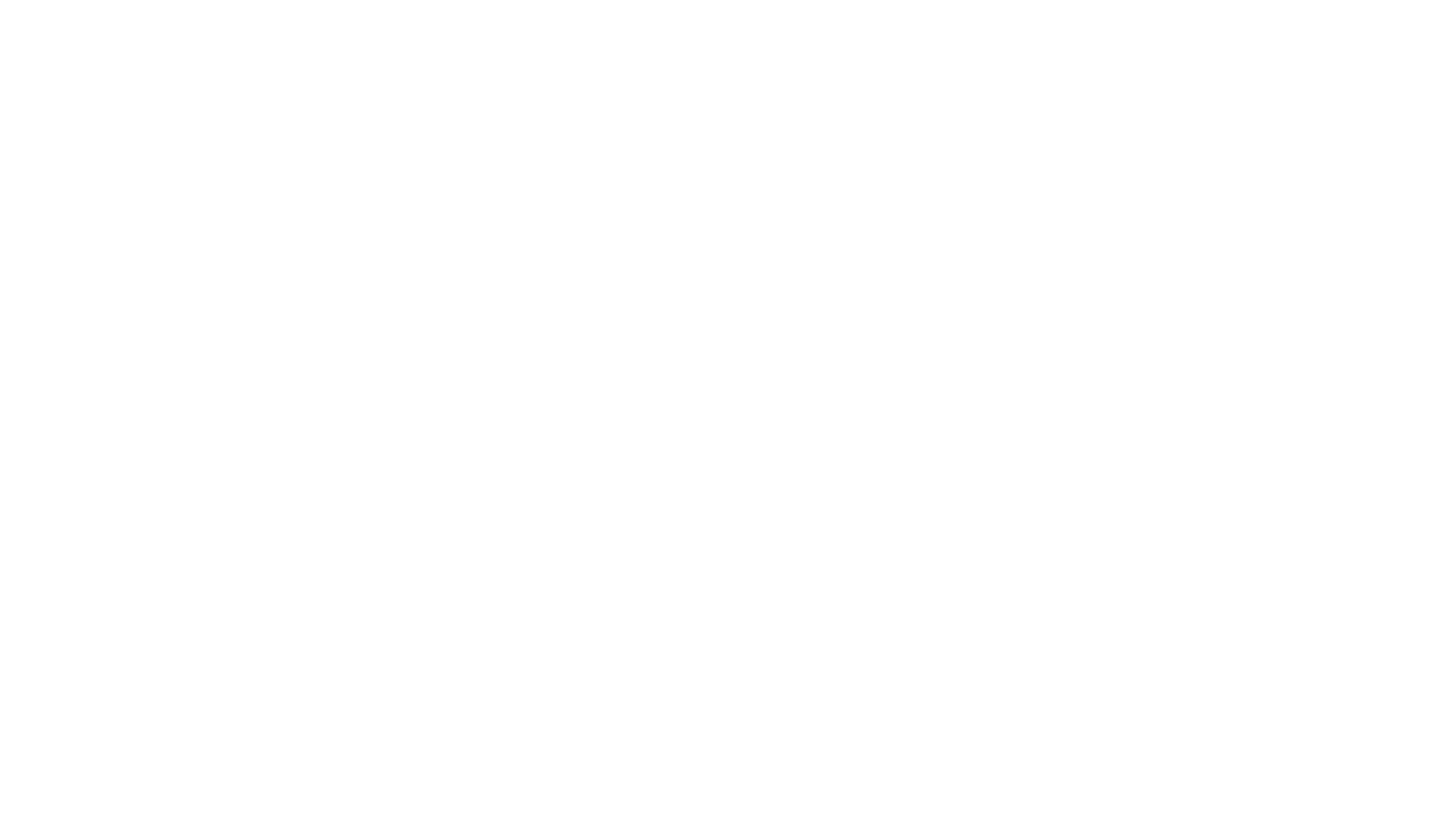Safenexo Logo